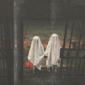 Meet your Posher, Abigail